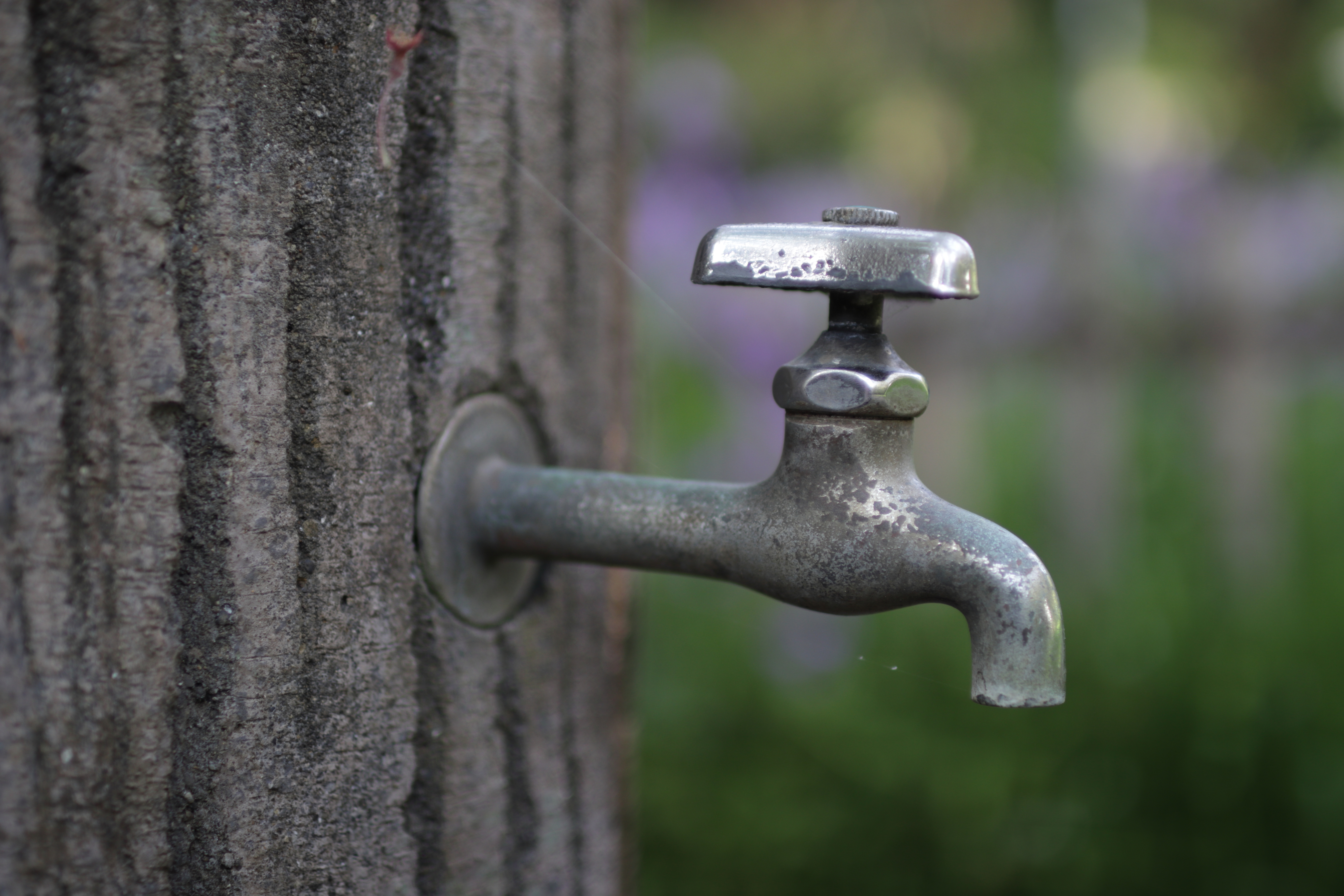 レンズ沼】SIGMA 30mm F1.4 DC HSM | Art (2013年)レビュー: と レンズ沼】SIGMA 30mm F1.4 DC HSM | Art (2013年)レビュー: と